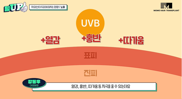 b5a79a5436eaf4cbae83bf4283271840_1781229907_6913.png