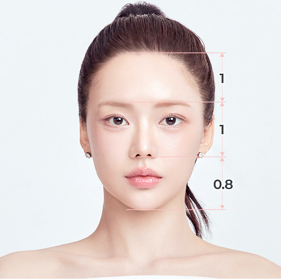 정면비율