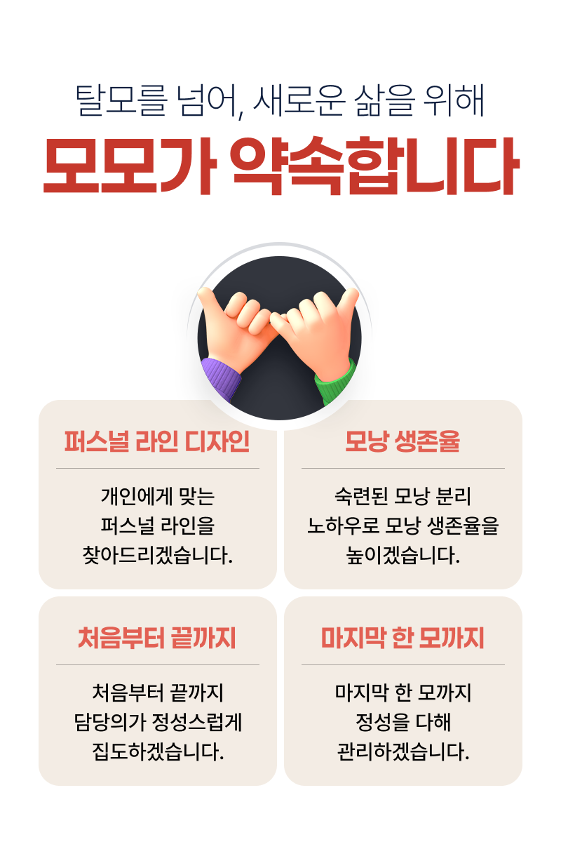 모모가 약속합니다