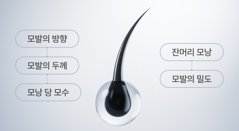 방향,두께,모수,모낭,밀도