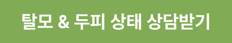 모모에서 상담받기
